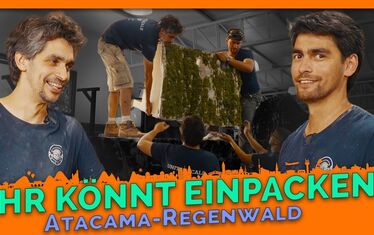 Regenwaldupdate 22 verschiffen