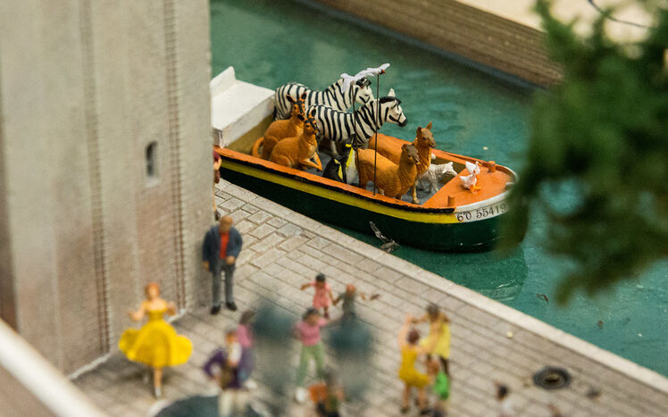 Venedig Tiere